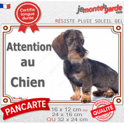 Teckel Poils Durs couleur sanglier assis, Panneau portail "Attention au Chien" plaque rue photo extérieure résiste intempéries