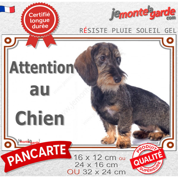 Teckel Poils Durs couleur sanglier assis, Panneau portail "Attention au Chien" plaque rue photo extérieure résiste intempéries
