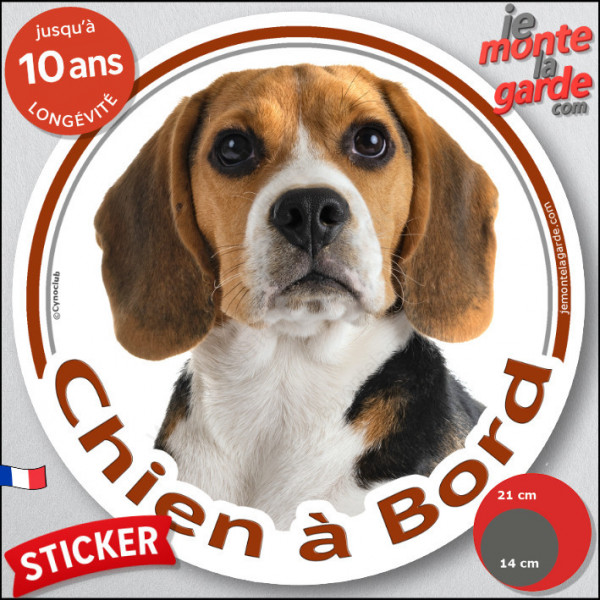 Beagle tricolore, sticker autocollant voiture rond "Chien à Bord" disque photo rond adhésif résistant 3 couleurs