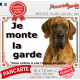 Dogue Allemand bringé, plaque portail "Je Monte la Garde, risques périls" pancarte panneau photo Danois résiste intempéries