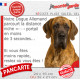 Danois arlequin, plaque humour "parcourt distance Niche - Portail, rapide" photo Dogue Allemand résiste intempéries