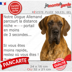 Danois arlequin, plaque humour "parcourt distance Niche - Portail, rapide" photo Dogue Allemand résiste intempéries