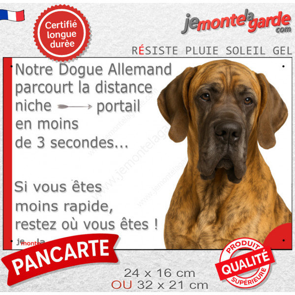 Danois arlequin, plaque humour "parcourt distance Niche - Portail, rapide" photo Dogue Allemand résiste intempéries
