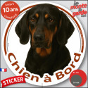 Bruno du Jura, disque photo autocollant voiture "Chien à Bord" 2 tailles D