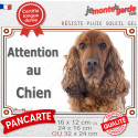 Cocker Anglais Golden, plaque portail "Attention au Chien" 3 tailles LUX D