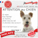 Fox Terrier poils durs blanc fauve, plaque portail humour "Attention au Chien, Jetez Vous au Sol, attendez secours, courage"