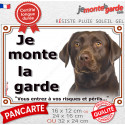 Labrador Chocolat, plaque extérieure "Je Monte la Garde, risques périls" 3 tailles LUX D