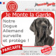Dogue Allemand gris bleu, plaque portail rouge "Je Monte la Garde surveille protège" pancarte fluo visible photo Danois