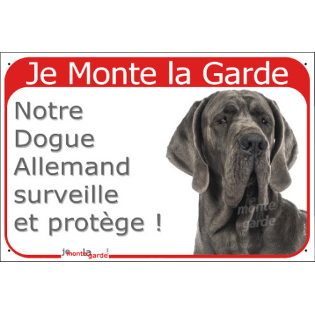 Dogue Allemand gris bleu, plaque portail rouge "Je Monte la Garde surveille protège" photo Danois SEO sans calque