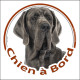 Dogue Allemand gris bleu, sticker autocollant rond "Chien à Bord" Disque adhésif photo Danois race SEO sans calque