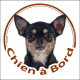 Chihuahua noir et feu poils courts, sticker autocollant rond "Chien à Bord" disque photo voiture SEO sans calque