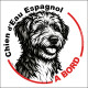 Chien d'Eau Espagnol, sticker autocollant rond "Chien à Bord" disque adhésif vitre voiture SEO sans calque