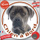 Cane Corso Italiano gris bleu, sticker autocollant rond "Chien à Bord" Disque photo adhésif vitre voiture, résiste intempéries