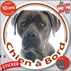 Cane Corso Italiano gris bleu, sticker autocollant rond "Chien à Bord" Disque photo adhésif vitre voiture, résiste intempéries
