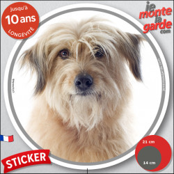 Labrit fauve Tête, sticker autocollant rond "photo" Disque intérieur ou Extérieur adhésif Berger des Pyrénées sable beige
