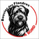 Bouvier des Flandres, sticker autocollant rond "Chien à Bord" disque adhésif vitre voiture résiste intempéries