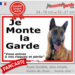 Berger Belge Malinois, plaque extérieure ECO "Je Monte la Garde, risques périls" panneau simple, pas cher mais durable