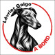 Lévrier Galgo Espagnol, sticker autocollant rond "Chien à Bord" disque adhésif vitre voiture SEO sans calque
