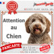 Lagotto Romagnolo brun, plaque portail extérieure "Attention au Chien" photo chien d'eau Romagole, résiste intempéries