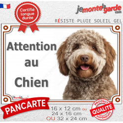 Lagotto Romagnolo brun, plaque portail extérieure "Attention au Chien" photo chien d'eau Romagole, résiste intempéries