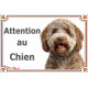 Lagotto Romagnolo brun, plaque portail extérieure "Attention au Chien" photo chien d'eau Romagole, SEO sans calque