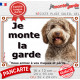 Lagotto Romagnolo brun, plaque portail extérieure "Je Monte la Garde, risques et périls" photo chien d'eau Romagole