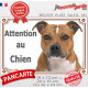 Staffie Fauve lisse blanche, plaque portail extérieure "Attention au Chien" photo résiste intempéries