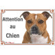 Staffie Fauve lisse blanche, plaque portail extérieure "Attention au Chien" photo SEO sans calque