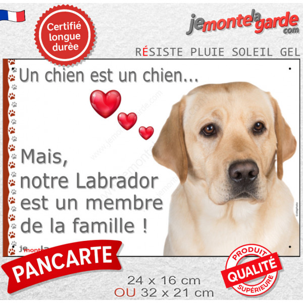 Labrador Sable, Plaque photo "un chien est membre de la famille" idée cadeau résiste intempéries