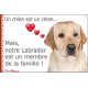 Labrador Sable, Plaque photo "un chien est membre de la famille" idée cadeau SEO sans calque