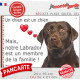 Labrador Chocolat, Plaque photo "un chien est membre de la famille" idée cadeau résiste intempéries