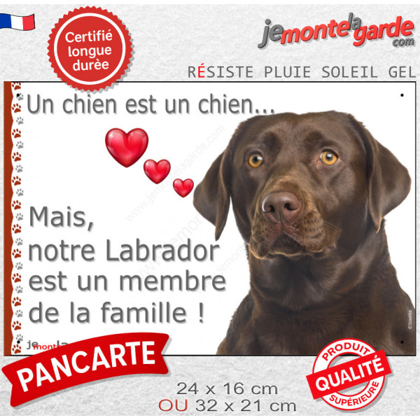 Labrador Chocolat, Plaque photo "un chien est membre de la famille" idée cadeau résiste intempéries