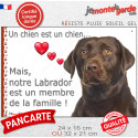 Labrador Chocolat, plaque photo "Membre de la Famille" 2 tailles LOVE D