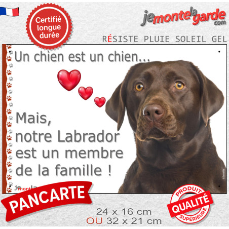 Labrador Chocolat, Plaque photo "un chien est membre de la famille" résiste pluie soleil gel, idée cadeau 