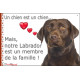 Labrador Chocolat, Plaque photo "un chien est membre de la famille" idée cadeau SEO sans calque