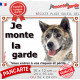 Akita Inu bringé Japonais, plaque portail "Je Monte la Garde, entrez à vos risques et périls" photo résiste intempéries