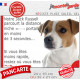 Jack Russell Terrier fauve, plaque extérieure humour "parcourt distance Niche-Portail moins de 3 secondes" photo