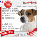 Jack Russell Terrier fauve, plaque humour "distance Niche-Portail 3 secondes" 2 tailles 3SEC D