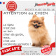 Plaque portail humour "Attention au Chien, notre Spitz Loulou fauve orange est une excellente sonnette" photo Loulou Poméranie