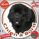 Terre Neuve noir, Sticker autocollant rond "Chien à Bord" Disque adhésif vitre voiture photo résiste intempéries