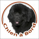 Terre Neuve noir, Sticker autocollant rond "Chien à Bord" Disque adhésif vitre voiture photo SEO sans calque