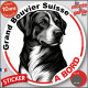 Grand Bouvier Suisse, sticker autocollant rond "Chien à Bord" disque adhésif vitre voiture résiste intempéries