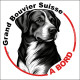 Grand Bouvier Suisse, sticker autocollant rond "Chien à Bord" disque adhésif vitre voiture SEO sans calque