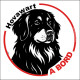 Hovawart, sticker autocollant rond "Chien à Bord" disque adhésif vitre voiture SEO sans calque