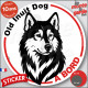 Old Inuit Dog du Nord, sticker autocollant rond "Chien à Bord" disque adhésif vitre voiture résiste intempéries