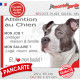 Amstaff gris bleu, plaque extérieure humour "Attention au Chien, j'aime mon job, protéger Maison famille. Salaire, logé nourrit 