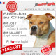 Amstaff fauve, plaque extérieure humour "Attention au Chien, j'aime mon job, protéger Maison famille. Salaire, logé nourrit aimé