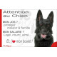 Berger Allemand tout noir poils courts, plaque humour "Attention au Chien, j'aime mon job, protéger Maison famille. Salaire logé