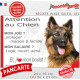 Berger Allemand poils longs, plaque humour "Attention au Chien, j'aime mon job, protéger Maison famille. Salaire, logé nourrit 