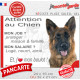 Berger Allemand poils mi-longs, plaque humour "Attention au Chien, j'aime mon job, protéger Maison famille. Salaire, logé nourri